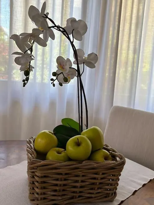 Boutique Apartment In The Heart Of Montecatini  Montecatini Terme