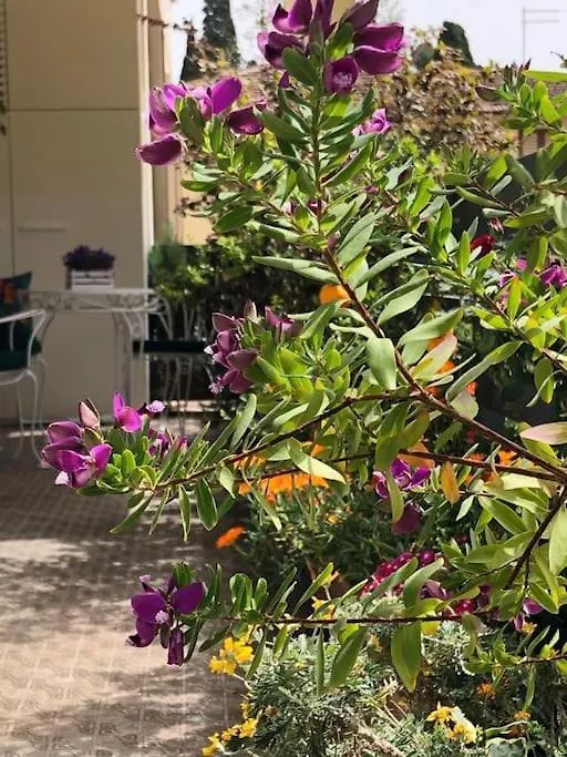 Boutique Apartment In The Heart Of Montecatini Montecatini Terme