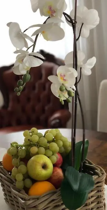 Boutique Apartment In The Heart Of Montecatini Montecatini Terme